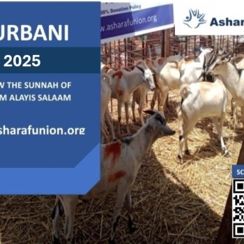 Qurbani